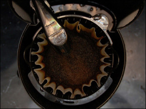boabe de cafea, cafea, cafea verde, cultivare, ferma, ferme, flori de cafea, fructe de cafea, padure