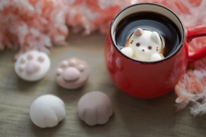 boabe de cafea, cafea, cafea verde, cultivare, ferma, ferme, flori de cafea, fructe de cafea, padure