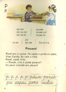 boabe de cafea, cafea, cafea verde, cultivare, ferma, ferme, flori de cafea, fructe de cafea, padure