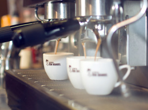 Cel mai bun espresso din Spania: boabe de cafea, cafea, cafea verde, cultivare, ferma, ferme, flori de cafea, fructe de cafea, padure