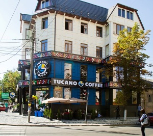 boabe de cafea, cafea, cafea verde, cultivare, ferma, ferme, flori de cafea, fructe de cafea, padure