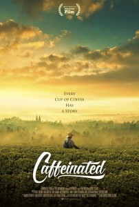 boabe de cafea, cafea, cafea verde, cultivare, ferma, ferme, flori de cafea, fructe de cafea, padure