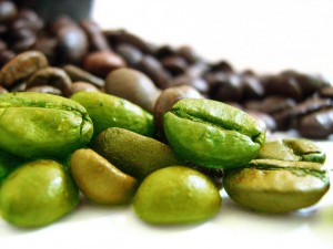 Cum să slăbim cu cafea: boabe de cafea, cafea, cafea verde, cultivare, ferma, ferme, flori de cafea, fructe de cafea, padure