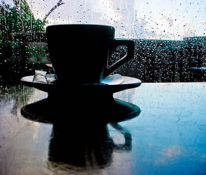 boabe de cafea, cafea, cafea verde, cultivare, ferma, ferme, flori de cafea, fructe de cafea, padure