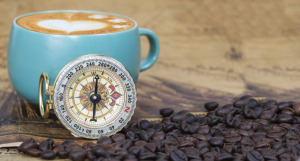 boabe de cafea, cafea, cafea verde, cultivare, ferma, ferme, flori de cafea, fructe de cafea, padure