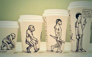 boabe de cafea, cafea, cafea verde, cultivare, ferma, ferme, flori de cafea, fructe de cafea, padure